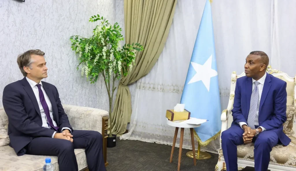 How German-Somali Cooperation on Passport Recognition Enhances Regional Security?